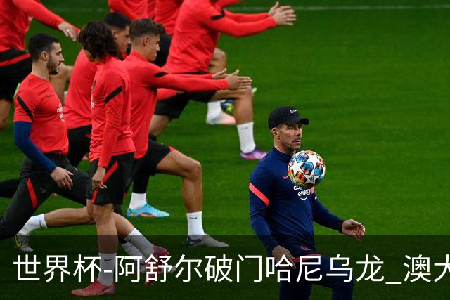 世界杯-阿舒尔破门哈尼乌龙 澳大利亚1-1埃及进点球